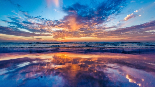 �����ʦ������